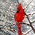Robyn Rossin Lee Boulware's profile image