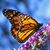Kristi Reeves Strelcheck's profile image