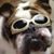 Ed Bay's profile image