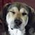 Barnecus Rubble's profile image