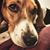 Mike Lerley's profile image