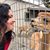Stephania Halverson's profile image
