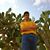 Daniel Palacios's profile image