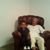 Jasmine Davis's profile image