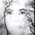 Beth Hinkle's profile image