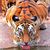Taylor Boggs's profile image