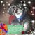 Lois Bailey's profile image
