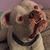 Cindi Peterson's profile image