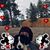 Lynne Nelson Seaver's profile image