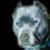 Greg Bray's profile image