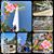 Alfonso Flores's profile image