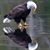 Matthew Bausch's profile image