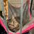 Carrie McCollim Curry's profile image