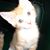 Charlene Taylor's profile image