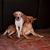 Kelley Link-Van Prooyen's profile image