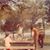 Deloris Wood Edwards's profile image