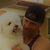 Troy C Robinson's profile image