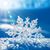 Susan Garber's profile image
