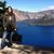 Amanda Rector's profile image