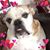 Tina Husson's profile image