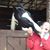 Jan Ervin's profile image
