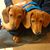 Sandy Anderson's profile image