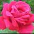 Sherrine Oliver Simmons's profile image
