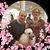 Margaret Mullis Preston's profile image