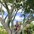 Kelly Stalica Torres's profile image