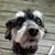 Jeff Arnold's profile image