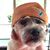 Kirk Laffman's profile image