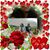 Elena Sachs's profile image