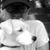 Sam Elwitt's profile image