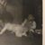 Stan Carter's profile image