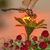 Judy Johnson's profile image