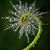 Cheryl Plencner's profile image