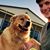 Kevin Robert Erlewine's profile image