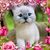 Cindy Howerton's profile image