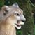 Starr Starr's profile image