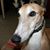Pennie Hendrick's profile image