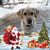 Donna Bartak's profile image