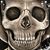 Miguel Machuca's profile image
