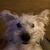 Dave Brown's profile image