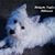 Deborah K Millemaci's profile image