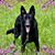 John Selan's profile image