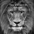 Ronnie Stevens Caravalho's profile image
