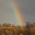 Maggie May Campbell's profile image