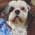 Emy Gibson's profile image
