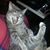 Melanie Stracener Ransome's profile image