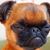 Pinky McPinkerson's profile image
